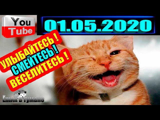 ПОДБОРКА Лучших Приколов Смешные Видео из ТИК ТОКА