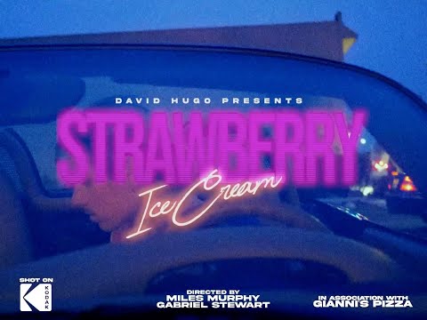 Strawberry Ice Cream - david hugo (Visualizer)