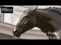 Documentary History - Horse Power - The National Museum of Racing