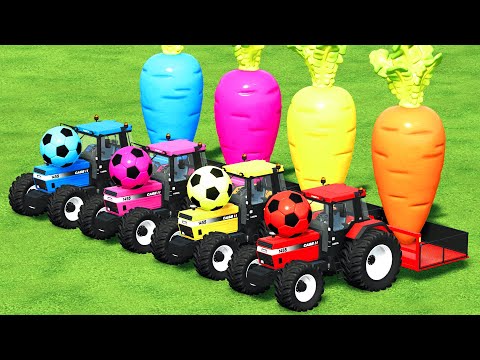 LOAD & TRANSPORTING GIANT CARROTS WITH CASE TRACTORS - Farming Simulator 22