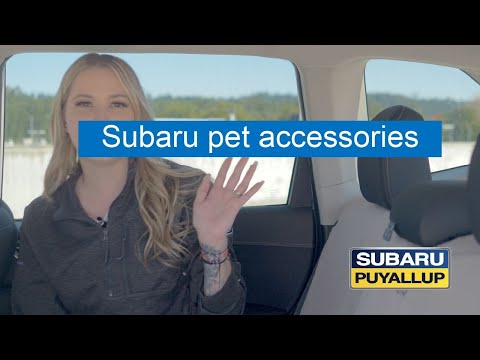 Pet Accessories with Sam - How to Install Padded Seat Protectors