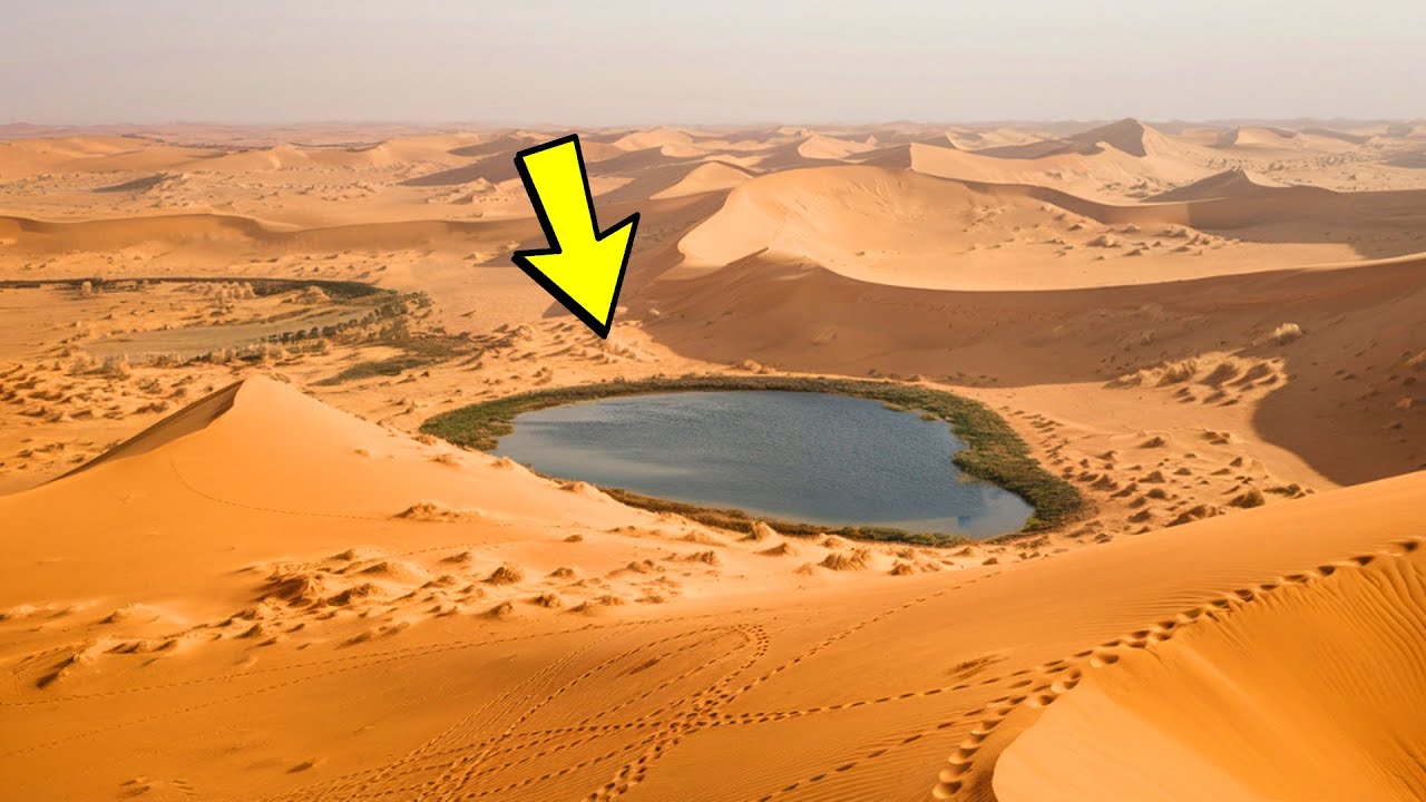 This is happening right now in the desert! The discovery scares the whole world!