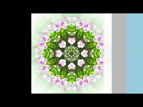 54 - Pedi força meu pai -  - Hinário do Santo Cruzeiro - Mestre Irineu