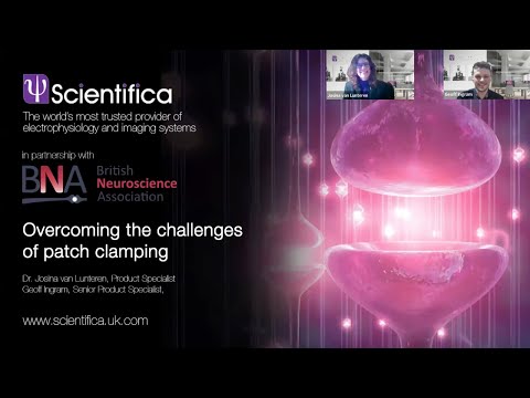 Overcoming the Challenges of Patch Clamping: Webinar with Scientifica