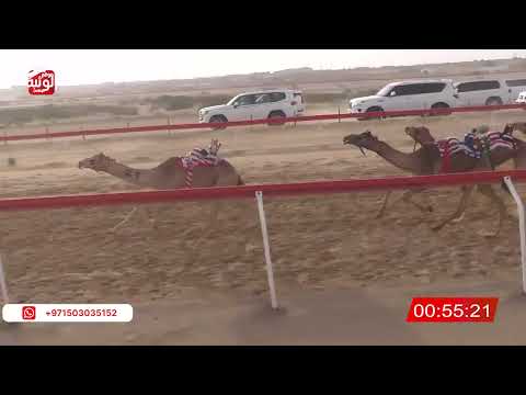  ش 18 (اشقر) لـ حمد عبدالله بن بهيان العامري 2:17 , شارة الصندوق 2026/03/21 فطامين الجبيب