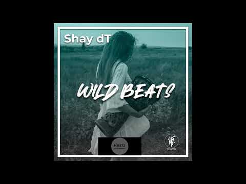 Shay DT _  Wild Beats (Original Mix)
