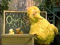 Sesame Street Snuffy Learns How To Be A Duck