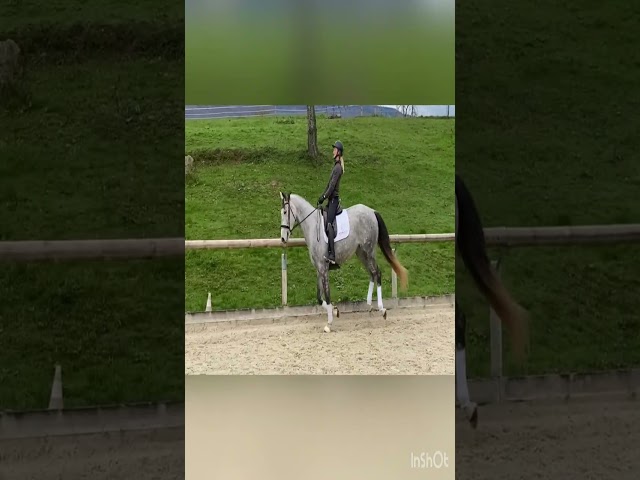 4 ans top Caractère 