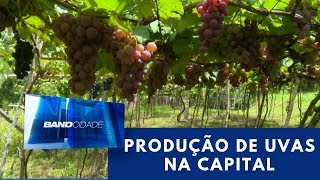 Miniatura do vídeo