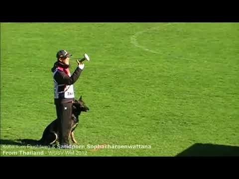 WUSV WM 2012 - kuba vom Fluchtweg