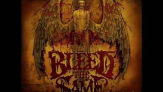 12 Sheer Raping-EarGasmic Brutal Breakdowns New 2009