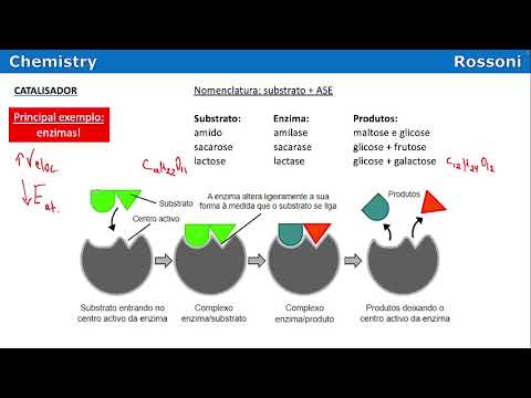 UFSC 2018-2 inverno Q38 - Cinética e Bioquímica: Enzimas