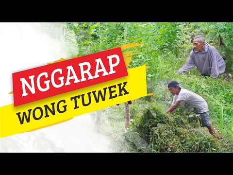 eps-2-ngarit-komedi-kampung-sadirun-video-lucu-bikin-ngakak-anake-pak-ndut-wokochanel