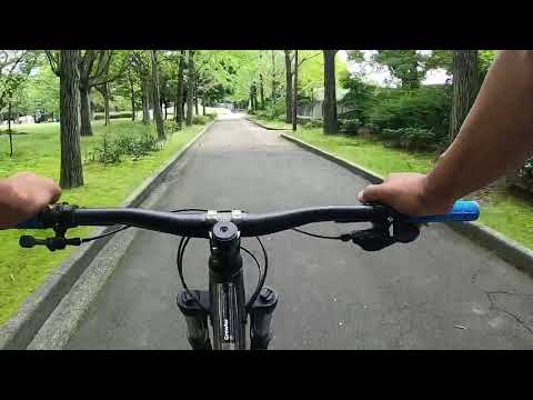 アラスカにおけるロッキーマウンテンゴートの分布