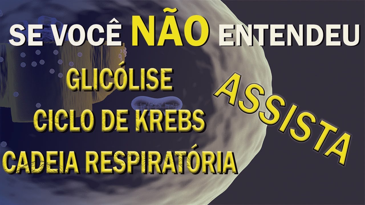 Aula 18 - Glicólise - Ciclo de Krebs - Cadeia Respiratória - O principal da fisiologia energética.
