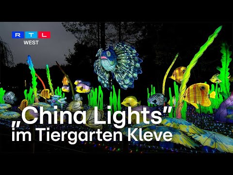 China Lights 2025 im Tiergarten Kleve | RTL WEST