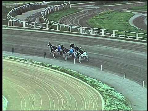 Trotto 15/10/2015 - 1° prova di qualifica