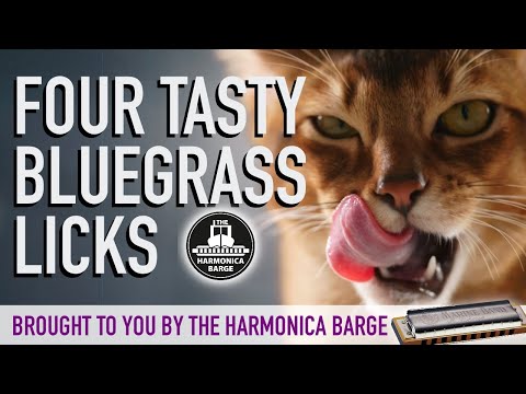 4 Tasty Bluegrass & Country Licks  (C Harp Required)