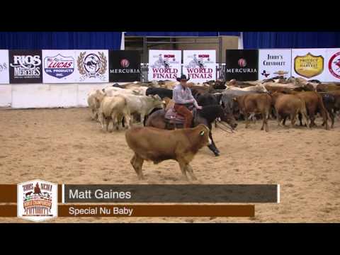 2015 NCHA Futurity Daily Roundup   Nov  29