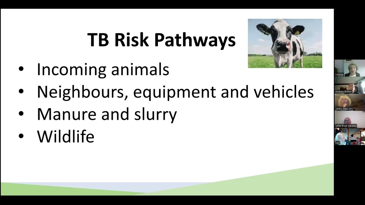 Vaccinating East Sussex Badgers and biosecurity steps we can take to protect herds from TB risks