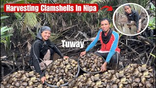 Halos Pinulot Lang Sa Sobrang Daming Clams Sa Nipa|Province Life