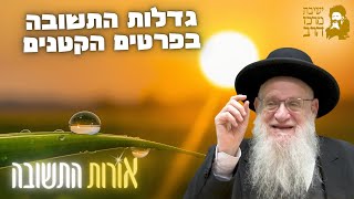 הרב יהושע מגנס | אורות התשובה | גדלות התשובה בפרטים הקטנים | כ"ה אלול תשפ"ה (ישיבת מרכז הרב) - התמונה מוצגת ישירות מתוך אתר האינטרנט יוטיוב. זכויות היוצרים בתמונה שייכות ליוצרה. קישור קרדיט למקור התוכן נמצא בתוך דף הסרטון הרב יהושע מגנס | אורות התשובה | גדלות התשובה בפרטים הקטנים | כ"ה אלול תשפ"ה (ישיבת מרכז הרב) - התמונה מוצגת ישירות מתוך אתר האינטרנט יוטיוב. זכויות היוצרים בתמונה שייכות ליוצרה. קישור קרדיט למקור התוכן נמצא בתוך דף הסרטון