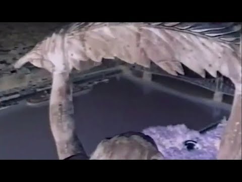 Rawmatik - Kriminal Minds Remix / Termanology x Reks x NKS x HWK x Norba x Kool Kasko