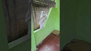 Download lagu Dikejar Hombie #shorts #trending #funny #subscribe mp3 Download lagu Dikejar Hombie #shorts #trending #funny #subscribe mp3