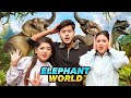 আমরা এখন হাতির রাজ্যে The Biggest Elephant Park In Thailand Raki