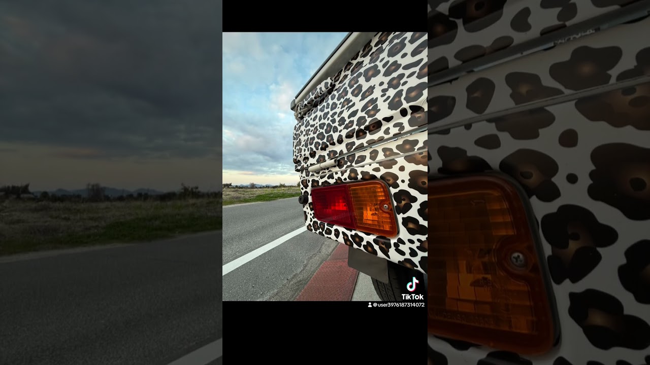 #軽トラ女子 #ヒョウ柄