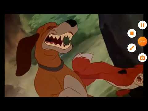 esmildontes vs zorro