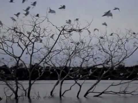 Recomeçar - Rose Nascimento e Marcelo Nascimento