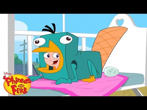 Perry's Egg | Phineas and Ferb | Disney XD