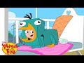 Perry S Egg Phineas And Ferb Disney XD