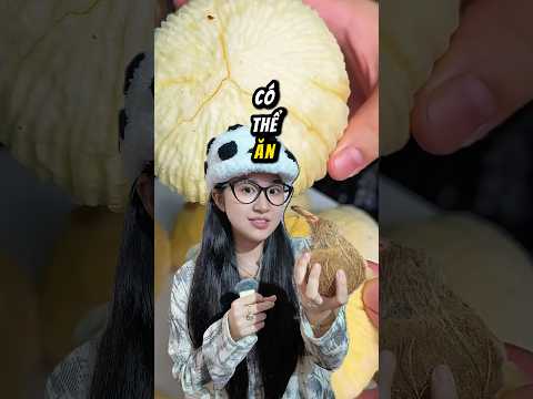 Khi Tui Ăn Món Độc Lạ : Dừa Mọc Mầm !? 😱 #shorts || Yến Nồi Cơm Điện