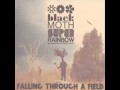 Black Moth Super Rainbow - Dandelion Graves