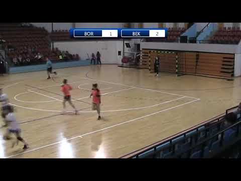 10.kolo 2018-2019 / SRLSZ / ZRK Bor - ZRK Bekament B. banja