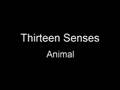 Thirteen Senses - Animal 