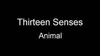 Animal Music Video