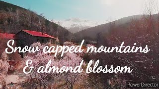 Snow capped mountains & almond blossom, Sierra Nevada DJI Mavic Air.