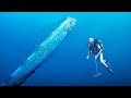 Oarfish This Legendary Fish That Announces Tsunamis