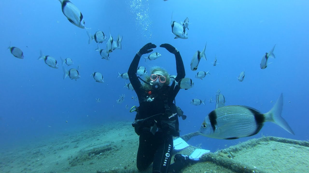Zenobia Wreck Larnaca Cyprus Advanced PADI Top Wreck Dive Sites in the World