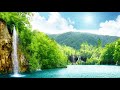 Leo Rojas Full Тhe Last Of The Mohicans