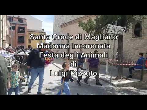 Santa Croce di Magliano. "Madonna Incoronata - Festa degli animali" di Luigi Pizzuto