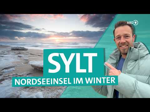 Sylt im Winter: Nordsee, Watt & Kegelrobben | 4k | ARD Reisen