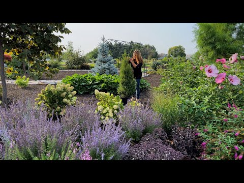 Planting 5 Gorgeous Evergreens (That Stay Small)! 🌲🌿💚 // Garden Answer
