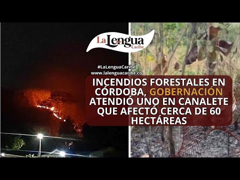 Incendios forestales en Córdoba, Gobernación atendió  en Canalete que afectó cerca de 60 hectáreas
