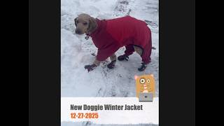 New Doggie Winter Jacket