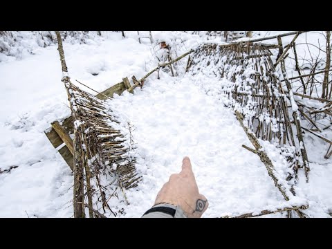 Gartendach kollabiert: Schneemassen fordern ihren Tribut – Folge 326