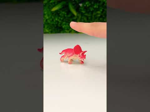 Which Triceratops is Biggest? #dinosaurs